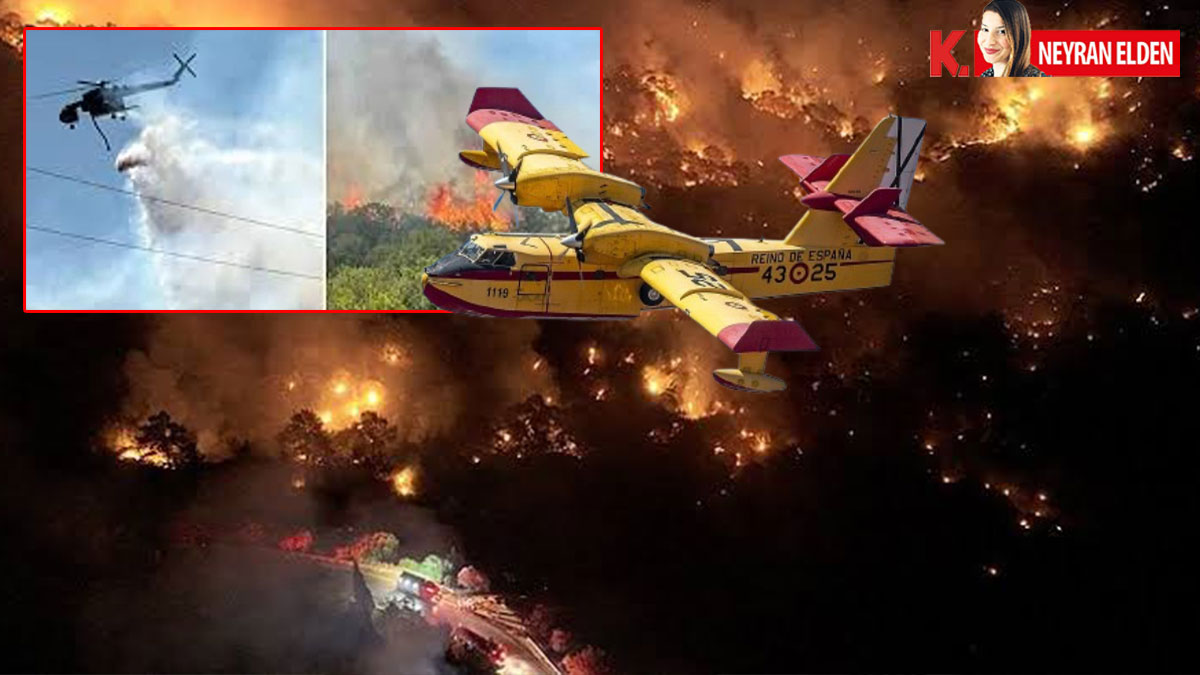 Uzmanlar, orman yangını krizini değerlendirdi: Toplum da kurumlar da felakete karşı hazır değil