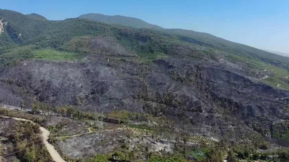Hatay Dörtyol’daki orman yangını kontrol altına alındı: 11 mahalle tahliye edilmişti