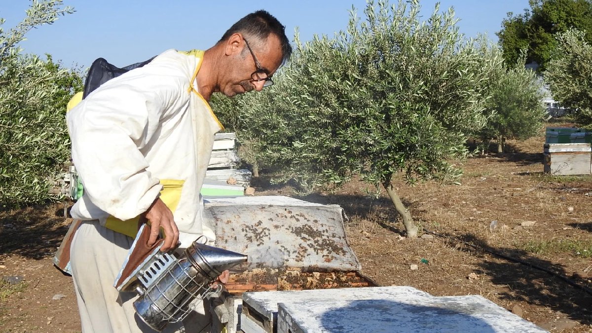 Doktor tavsiye etti hemen kolları sıvadı! 2 tanesiyle başladı şimdi tonlarca alıyor