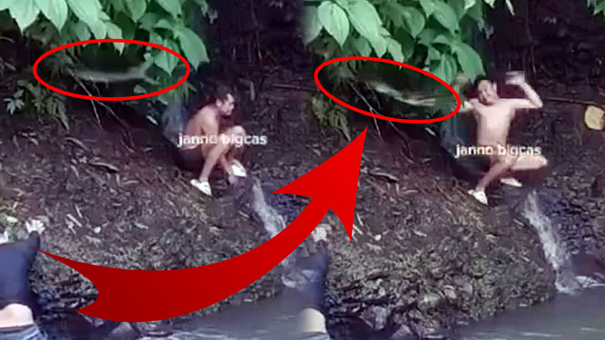 Görende 'Bir daha suya girmem' dedirten anlar! Nehirde yüzerken başınıza gelebilecek en korkunç şey