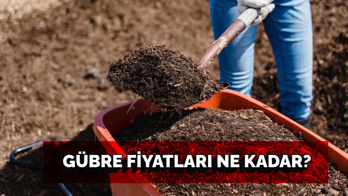 Çiftçiler yakından takip ediyor… Gübre fiyatları ne kadar? İşte 2025 Temmuz ayı gübre fiyatları…