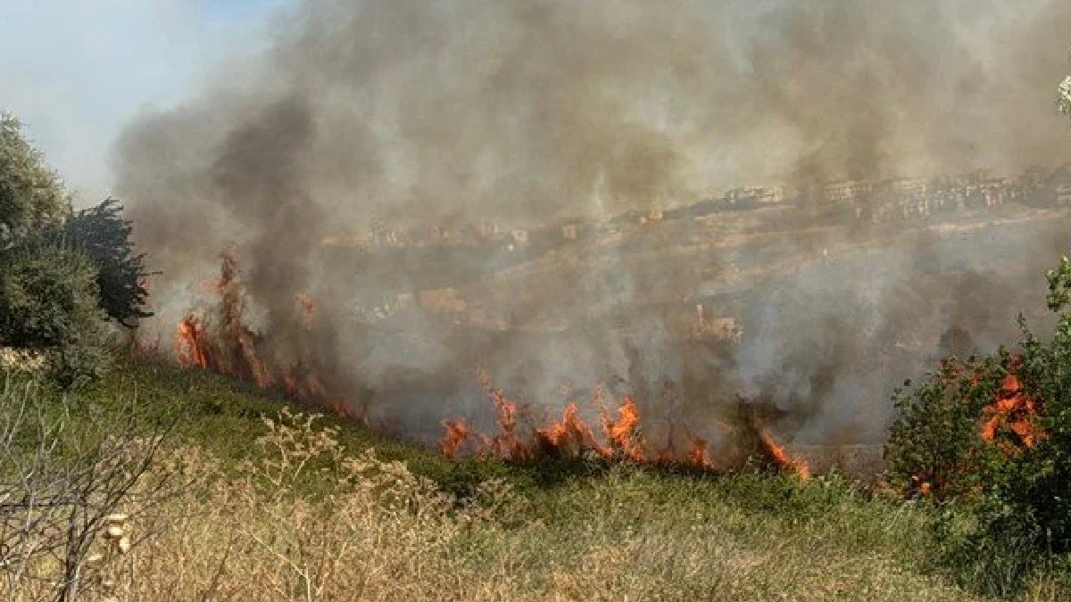 İstanbul'da otluk alanda yangın