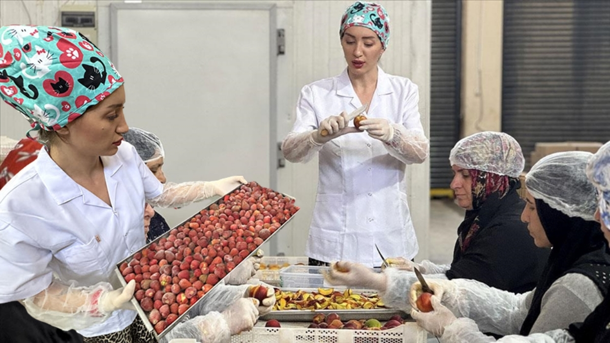 Mutfağında başladı, dünyaya açıldı! Depremzede kadının hayalleri şimdi ihracat listelerinde