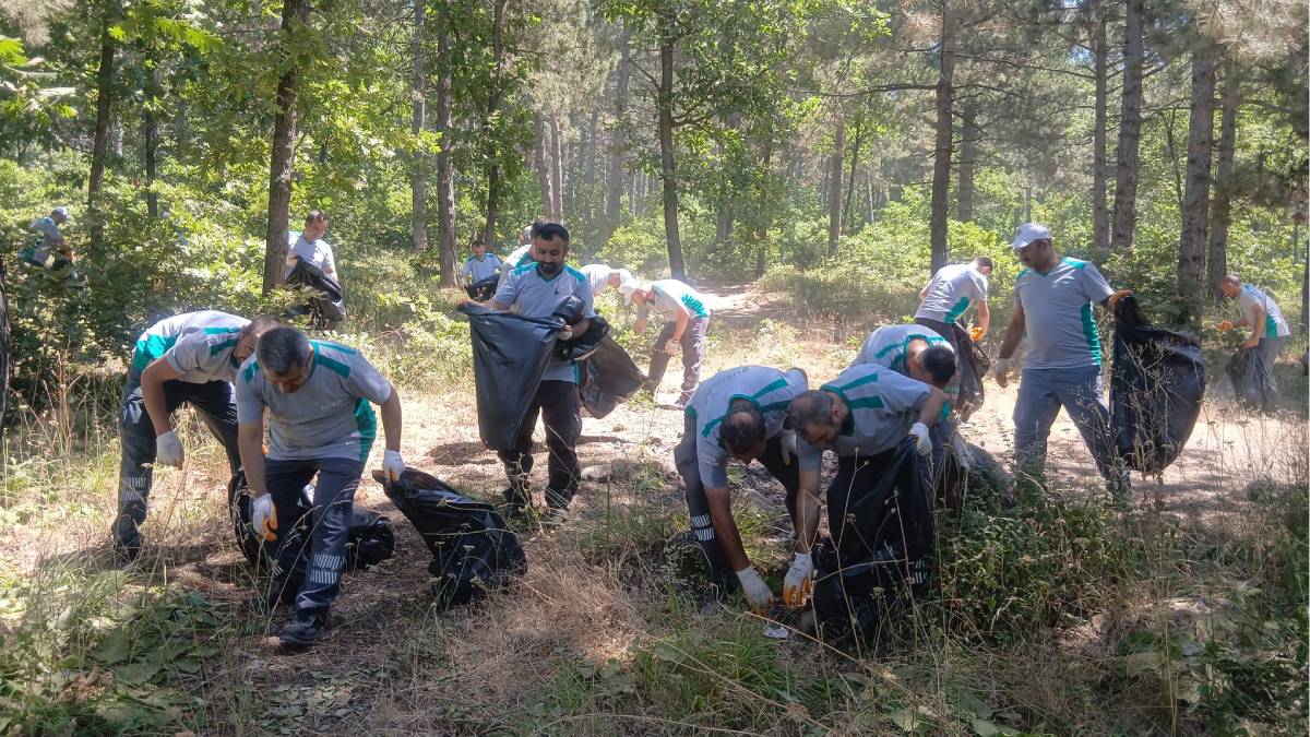 Bursa'da orman yangınlarına karşı 'temizlik' seferberliği!