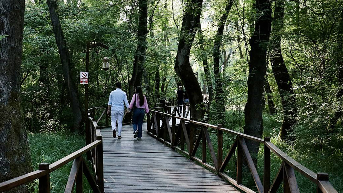 Vay be, Samsun'un böyle bir yeri varmış! Adeta cennetten bir köşe, gelip görmeye değer