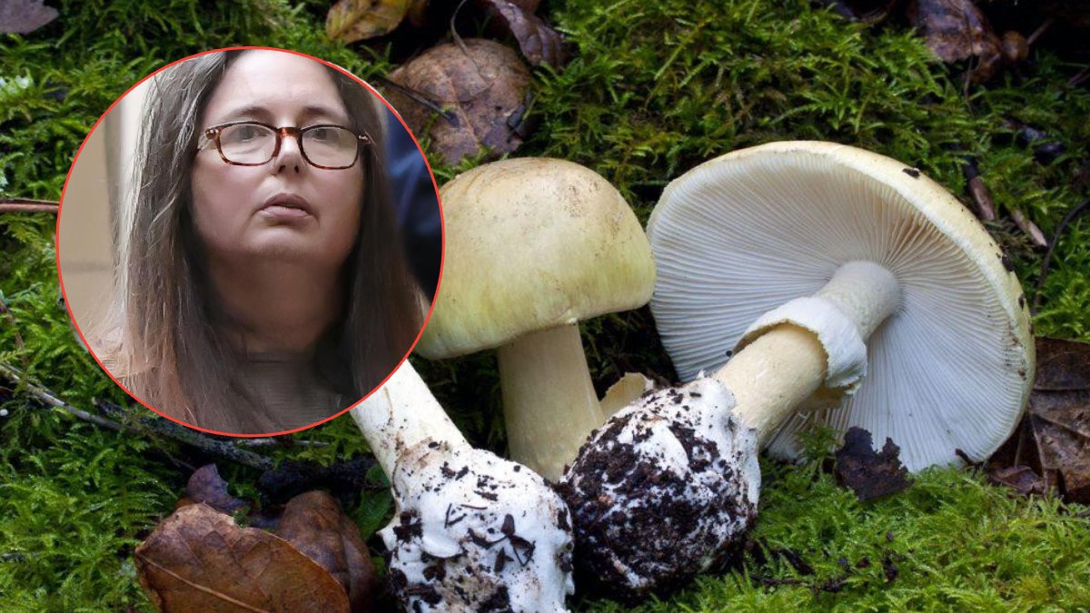 Böyle gelin olmaz olsun! Kocasının akrabalarını zehirli mantarla tahtalıköye gönderdi: 3 kişi öldü