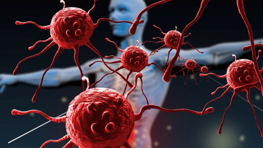 Bağışıklık sistemi damarları tıkıyor