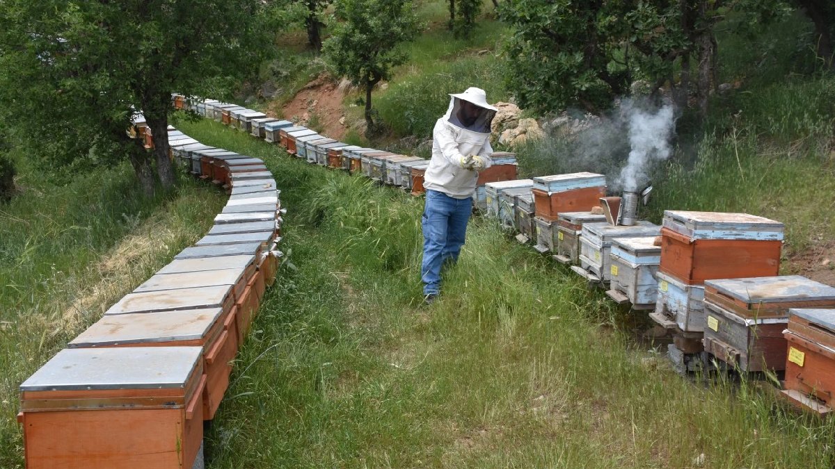 Eşinin tayini büyük ödülü getirdi! Fransa bile onayladı: En lezzetlisi onun elinden çıkıyor! Türkiye’nin her yerine kargoyla gön