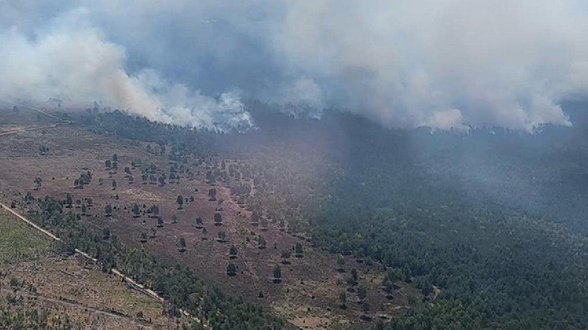 Asker ve polis sahada: Almanya günlerdir orman yangınlarıyla mücadele ediyor
