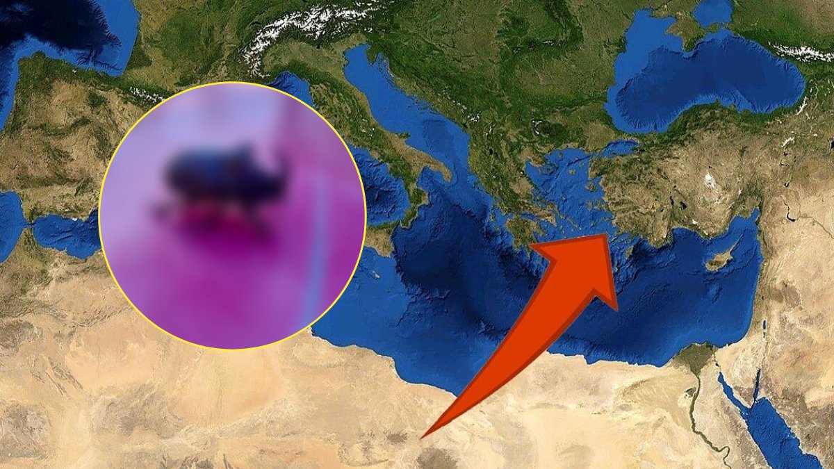 Doğanın en güçlü böceklerinden biri o ilimizde! Gergedana benziyor: Mahallede yürürken karşısına çıktı