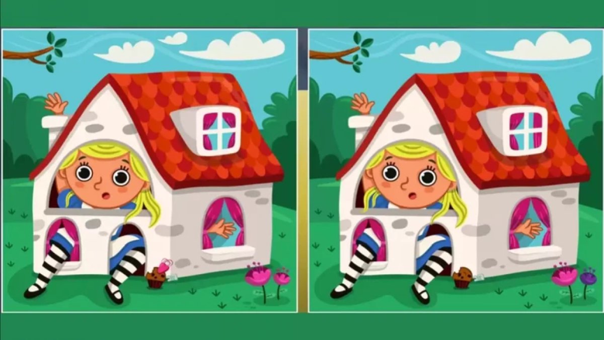 Yalnızca dikkatli gözlerin fark edebileceği test: Bu iki görseldeki 5 farkı 20 saniyede bulabilir misiniz?