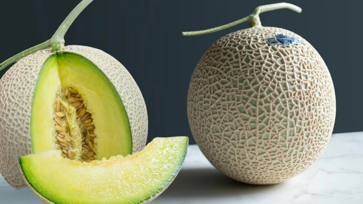 Bu kavun bildiklerinize benzemiyor! Gram altından daha pahalıya satılıyor: Nedeni ise şaşkınlık yaratıyor