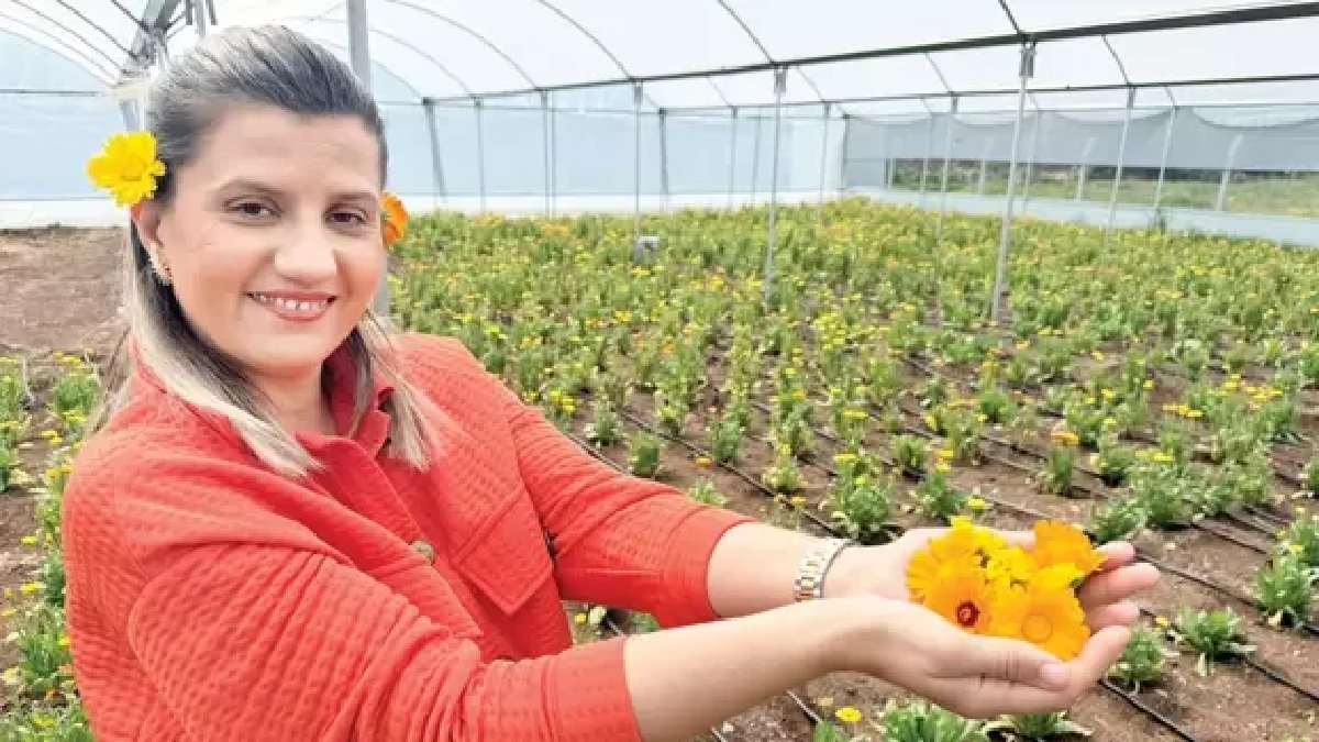 Kayınvalidesinden aldı bir anda köşe oldu! Yılda 16 kez ürün topluyor, daha ekiliyken satıyor