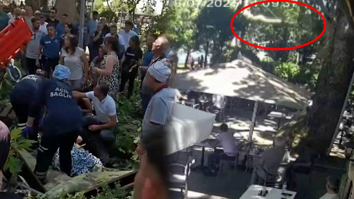 Çınar ağacı faciası: Genç öğretmen yaşamını yitirdi! Kahreden anlar kamerada