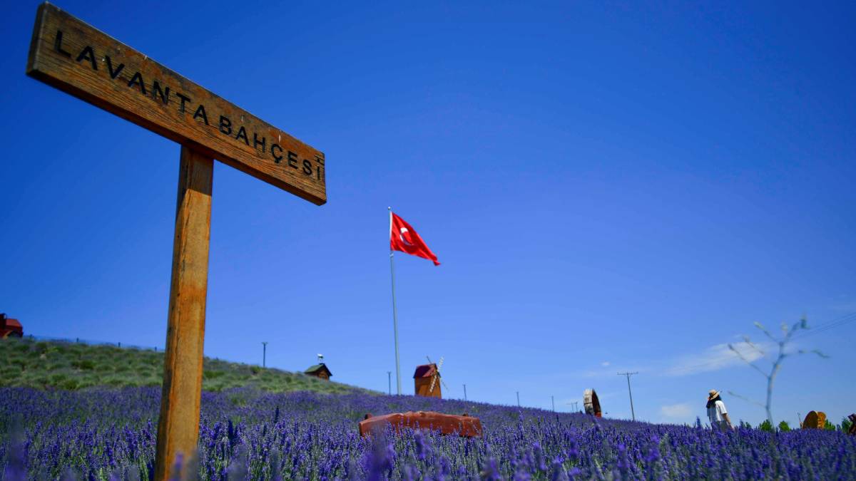 Başkent lavanta kokuyor