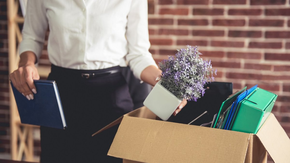 Yapay zeka büyüyor, insan azalıyor: Teknoloji sektöründe kitlesel işten çıkarma