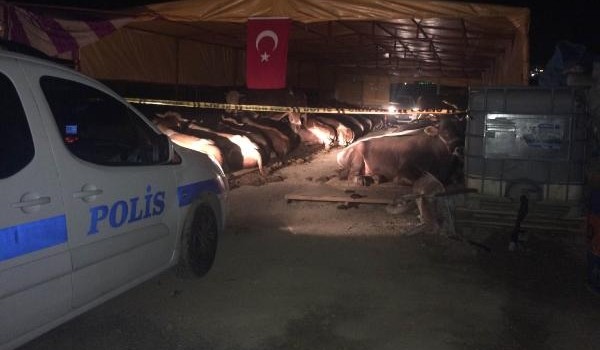 Kurbanlık satış yerinde silahlı kavga: 3 ölü, 3 yaralı - İzmir haberleri