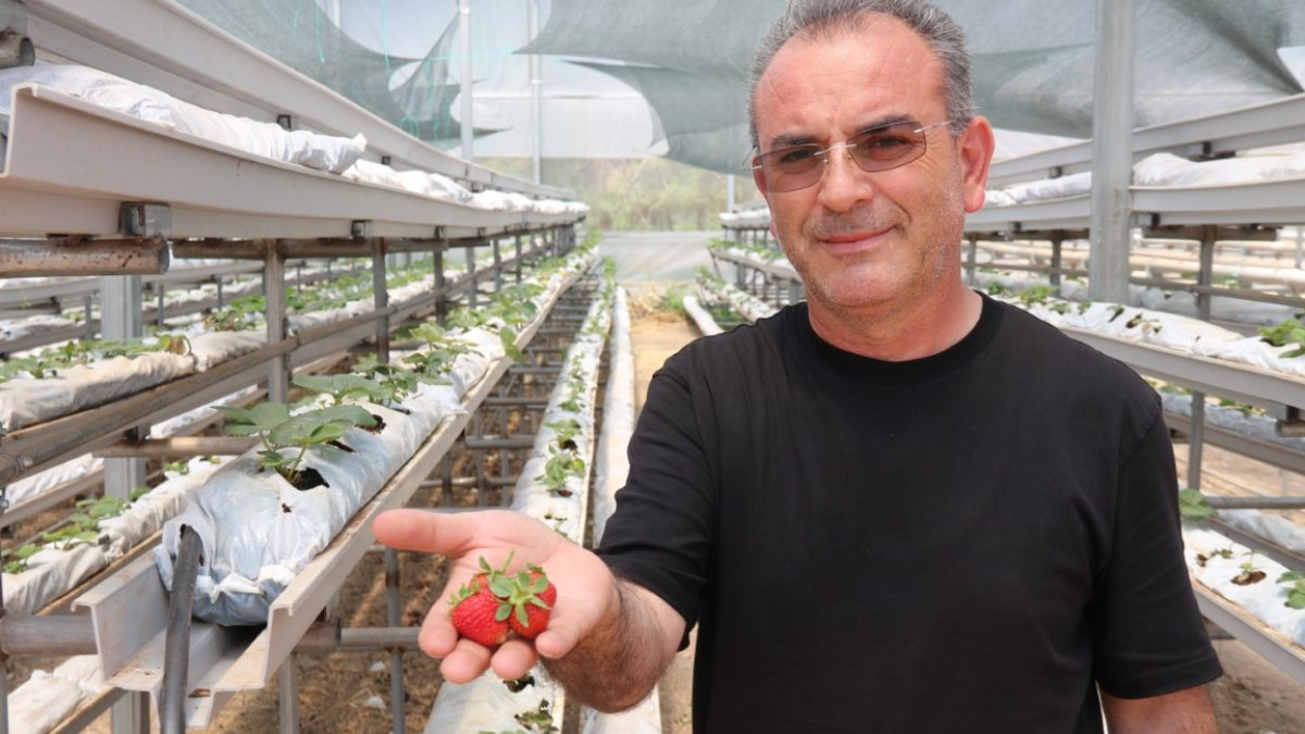 Toprak yok, verim çok! Yeni nesil tarım modeli: Kat kat fazla verim elde ediliyor