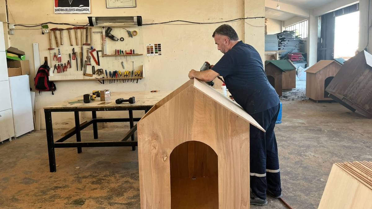 Bandırma Belediyesinden patili dostlara sıcak bir yuva