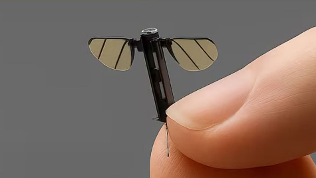 Gözünüzü dört açın: Bu drone'u görmek için büyüteç gerekebilir! Çinliler yine şaşırtıyor