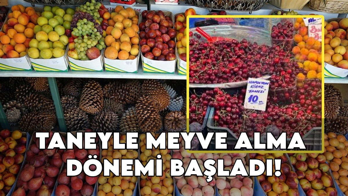 Kirazın tanesi 10 TL'yi unutun! Pazarda yeni rekor o meyvede: Bir tanesi 50 TL oldu! Emekli isyan etti: 'Pazar berbat!'