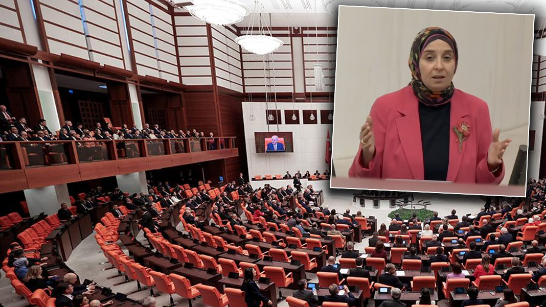 Meclis Genel Kurulu'nda şaşırtan anlar: 'Emekli maaşı 35 bin lira olmalıdır' dedi, AK Parti sıralarından kahkaha atıldı