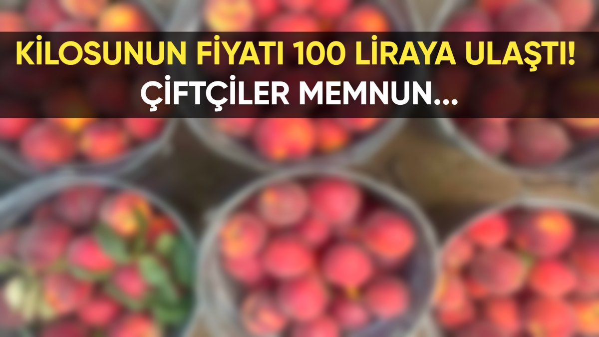 Kilosunun fiyatı 100 liraya ulaştı! Çiftçiler memnun: Don etkilese de beklenen rekolte 14 bin ton!