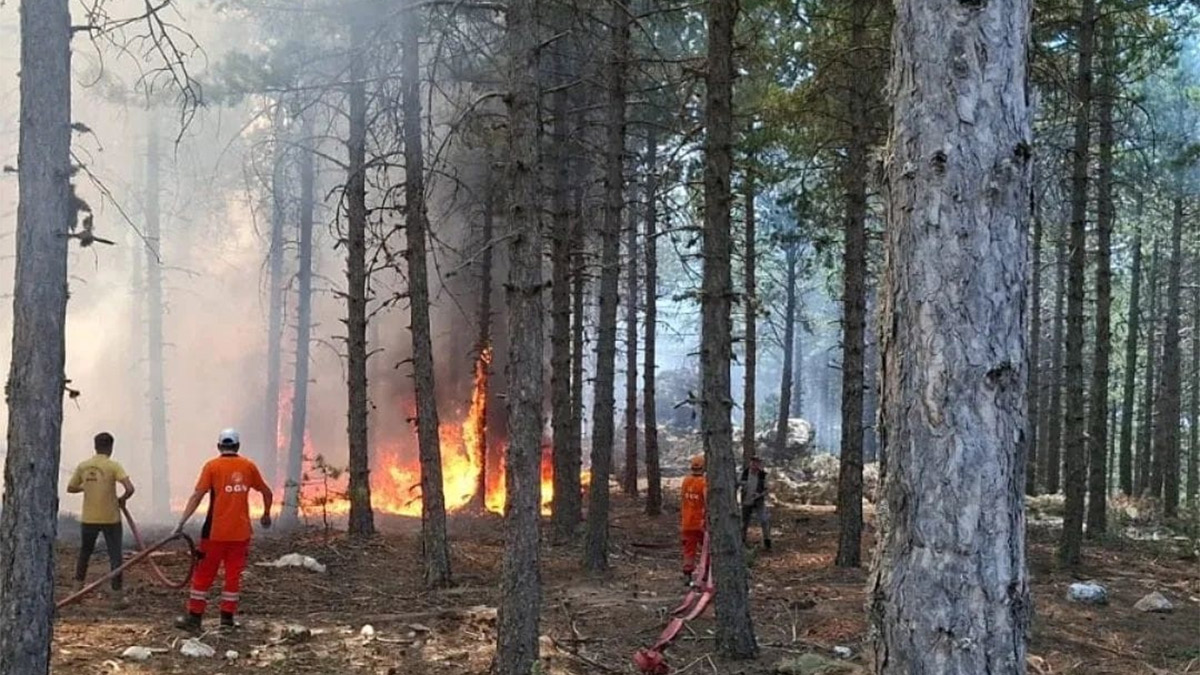 Aydın'da orman yangını! Müdahale sürüyor