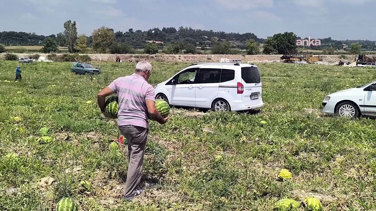 Tarlaya dalıp karpuzları arabalarına doldurdular! Gerçek sonradan anlaşıldı, meğer...