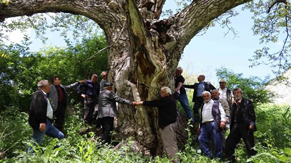 300 yıldır ayakta duruyor, sadece 7 kişiyle sarıp sarmalanıyor! Görkemi herkesi hayran bırakıyor