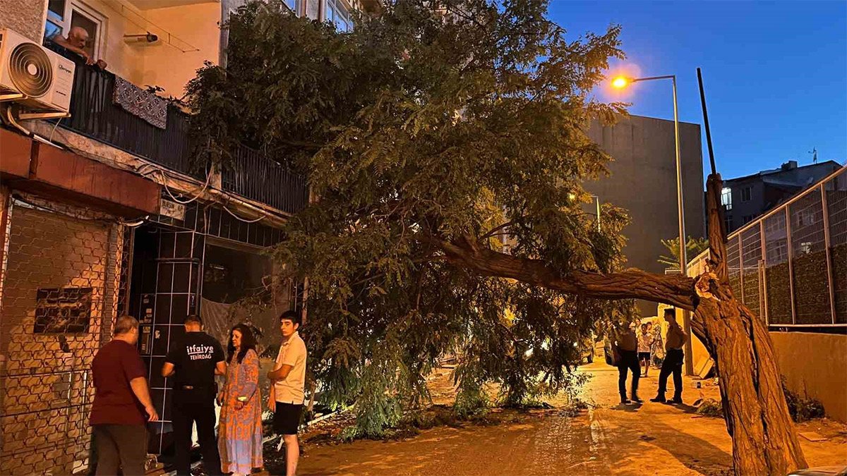 Balkonda kahve keyfi kâbusa döndü: Üzerine ağaç devrildi