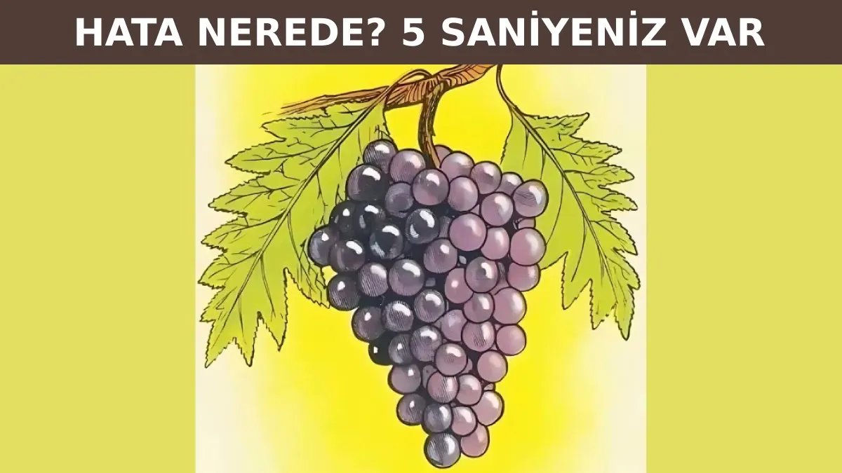 Yalnızca seçkin zekalar 5 saniyede hata bulabiliyor! Senin algın ne kadar güçlü? Hazırlan hemen başla