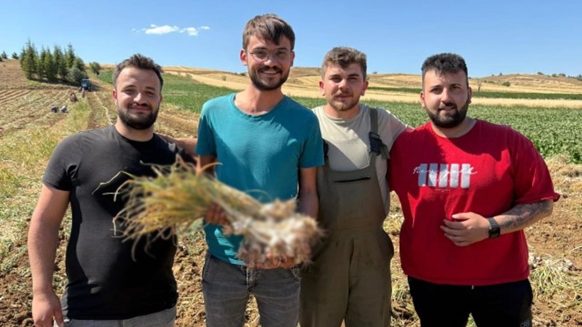 Adını dünya biliyor, kazancı yüksek oluyor! 20 günde asgari ücretten fazla kazandırıyor, fiyatı boyutuna göre değişiyor