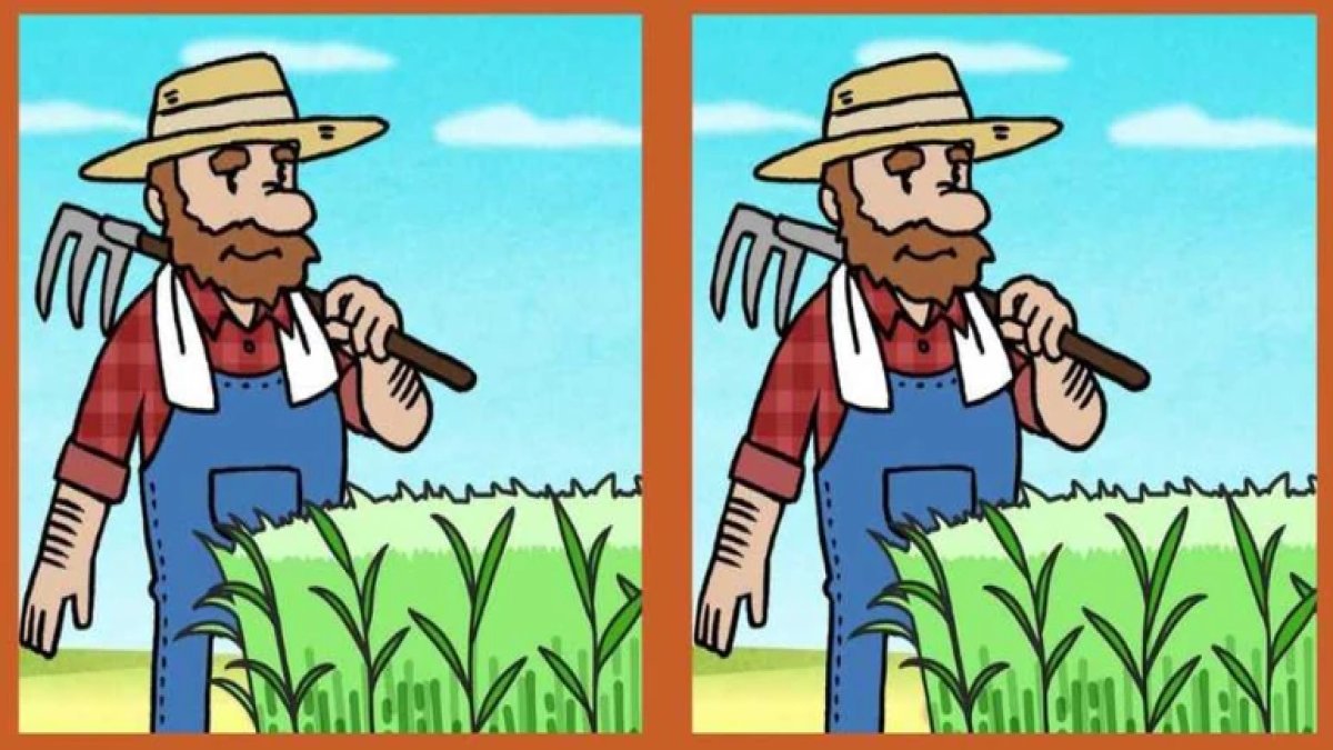 Bu görsel zeka testinde 3 farkı yalnızca dahiler buluyor: 14 saniyede 3 farkı bulabilir misiniz?