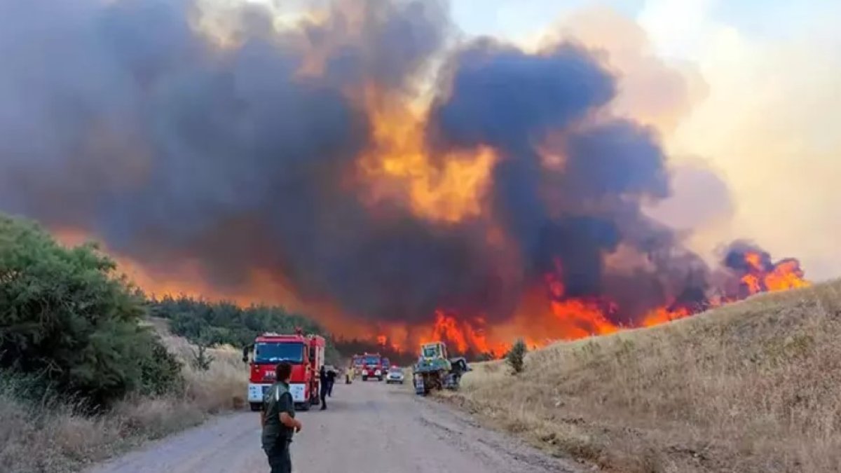 Tekirdağ’ın Şarköy ilçesinde orman yangını büyüyor: Mahalle tahliye edildi