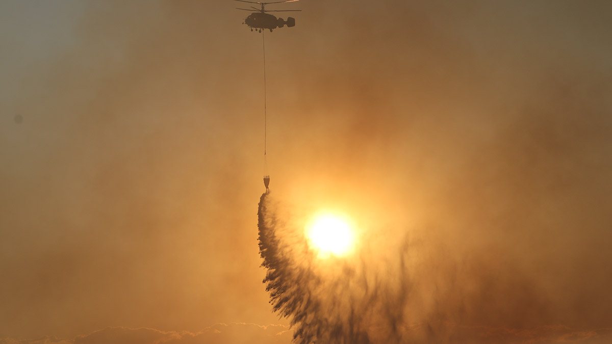 Tekirdağ’da orman yangını: Kontrol altına alındı
