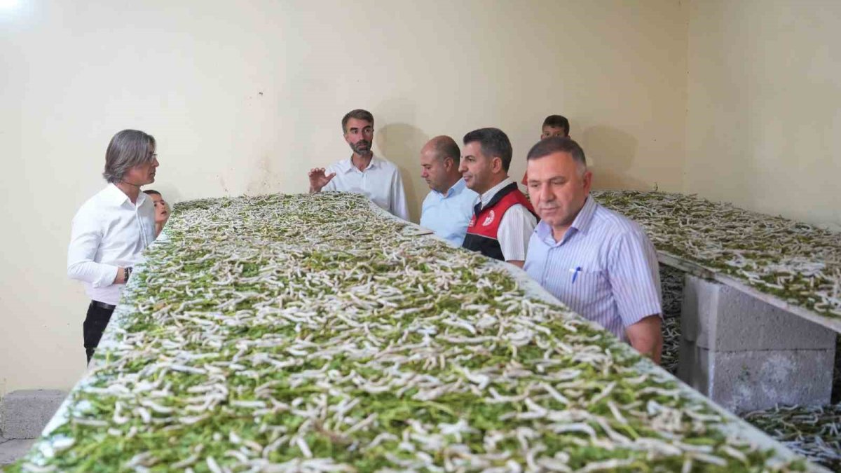 Başlarken herkes dalga geçti! Sonra herkes özenip sormaya başladı: Dev bir gelir kapısına dönüştü