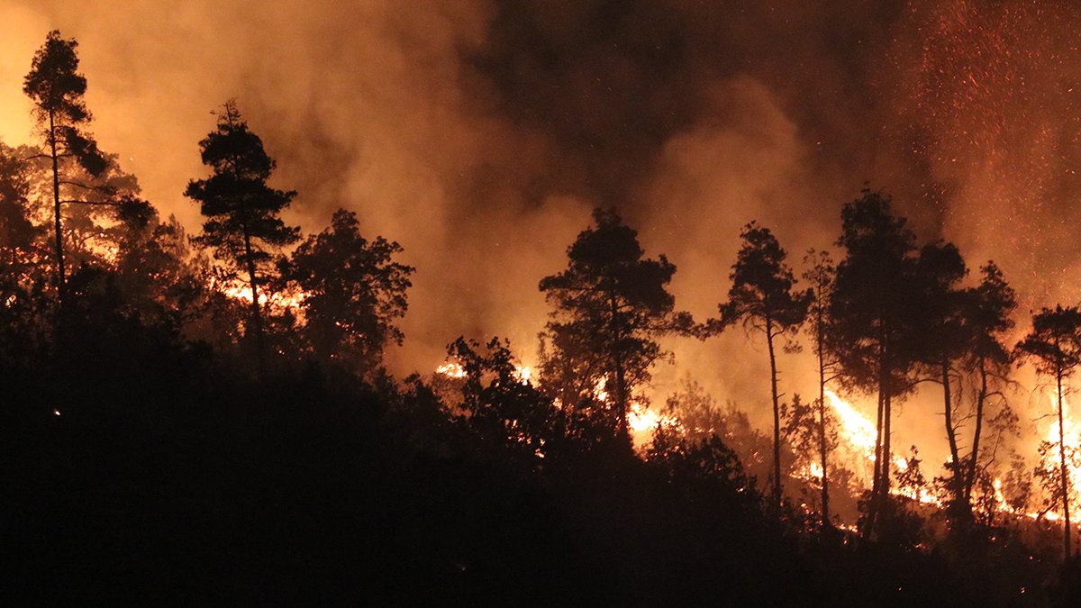 Lazkiye’deki orman yangını 10. gününde: Alevler Türkiye sınırına dayandı