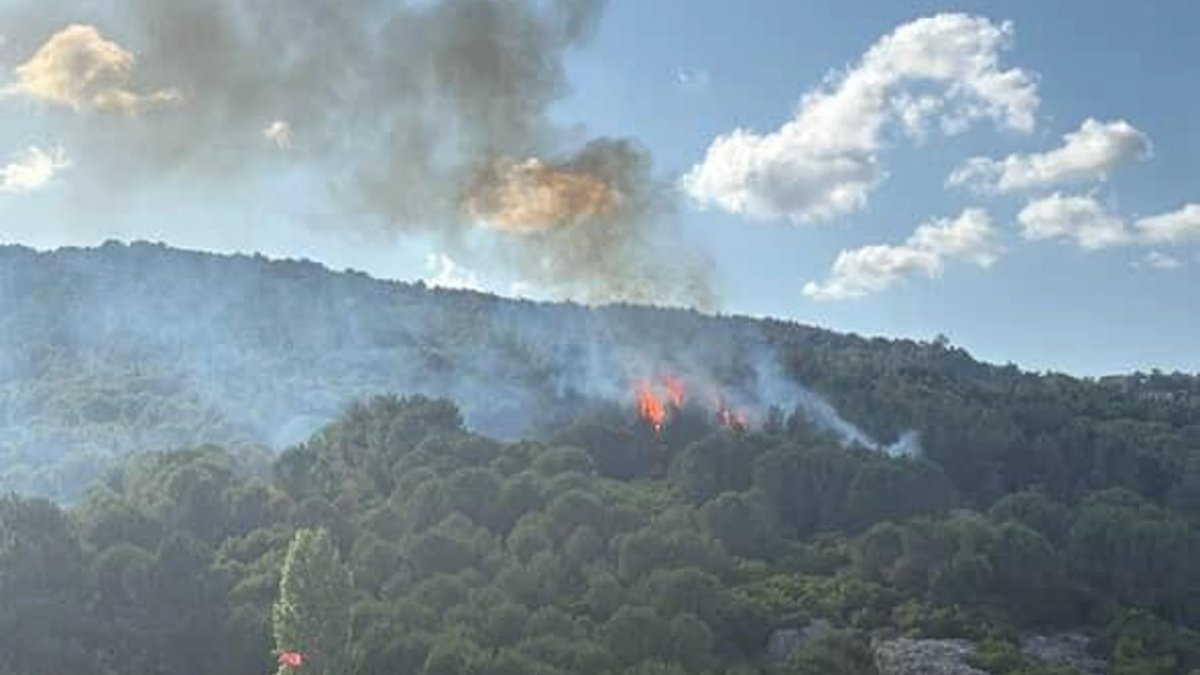 Aydos Ormanı'nda yangın paniği: Ekipler hızla sevk edildi