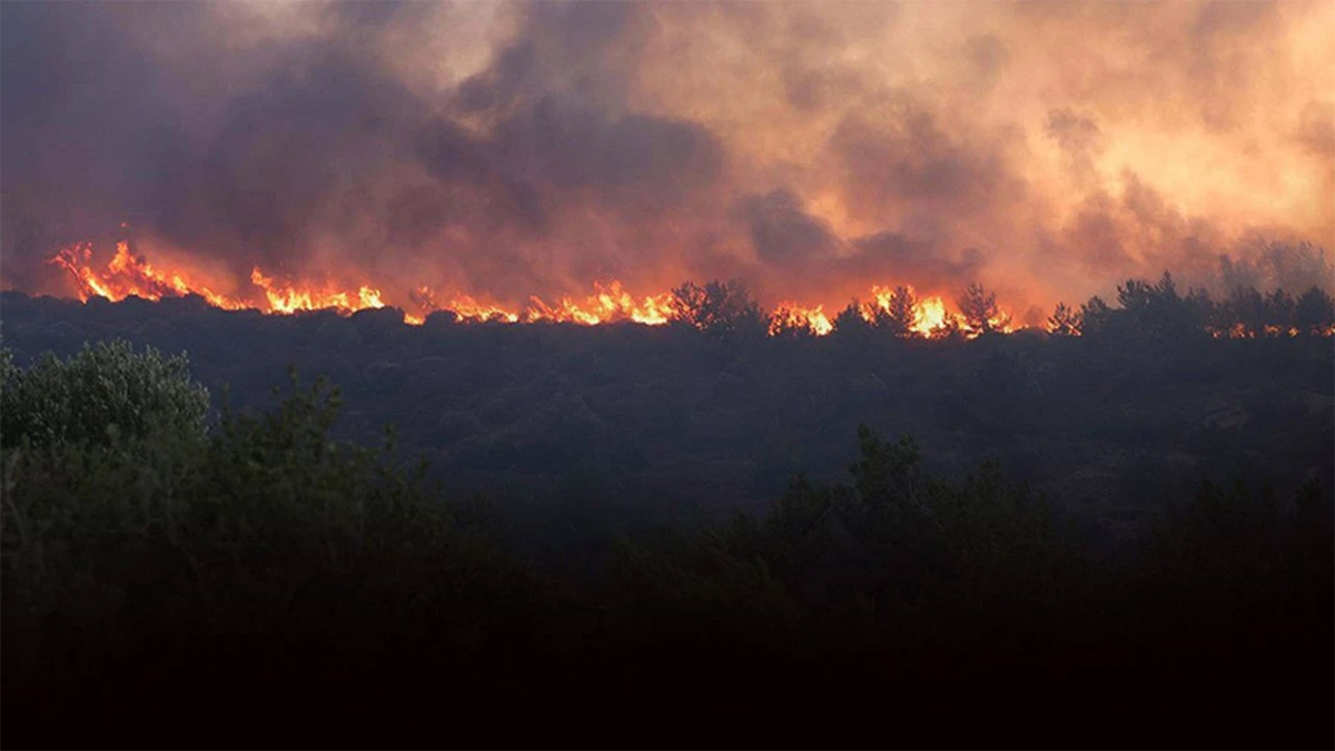 Orman yangınlarında sabotaj, ihmal veya tedbirsizliğin bedeli