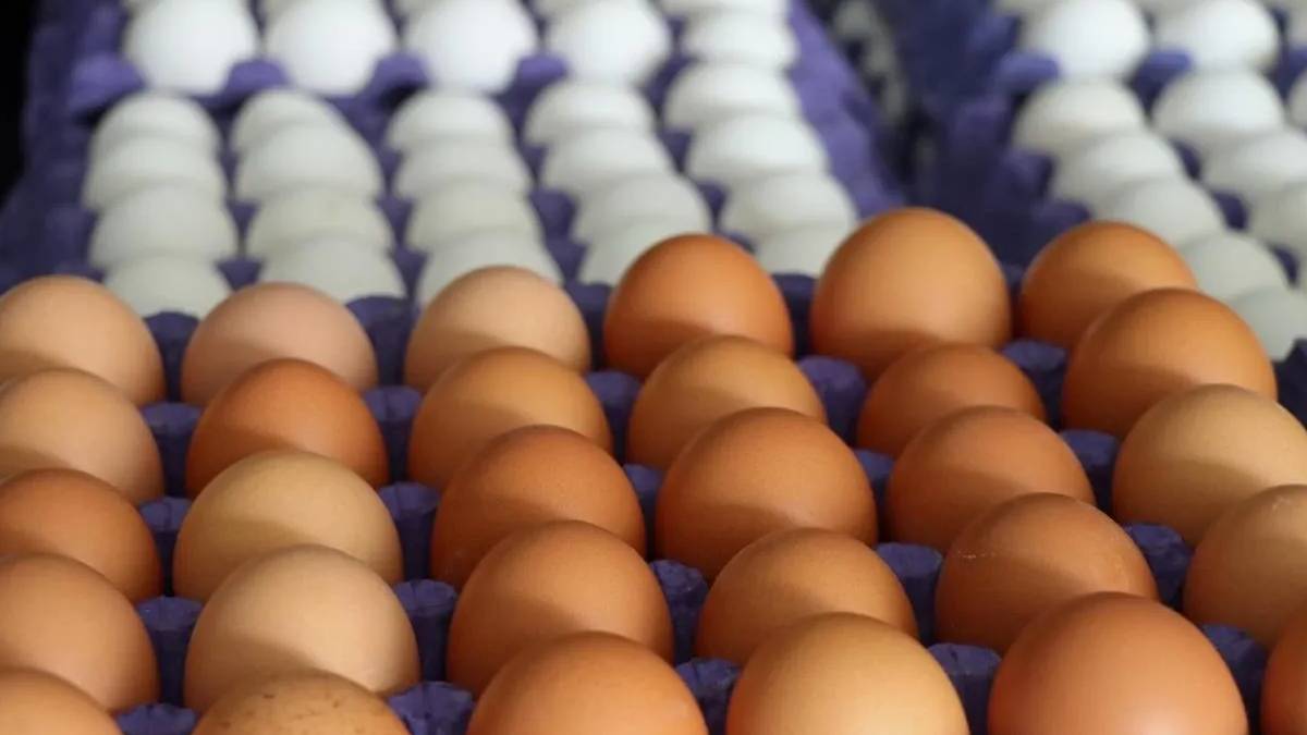 Bu marka yumurtaları sakın evinize sokmayın! Acil kararlar satışları durduruldu