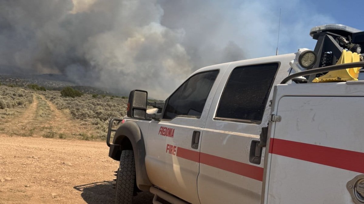 ABD'deki bir milli parkta çıkan orman yangını 20 kat büyüdü