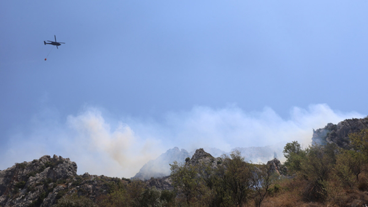 Hatay'da makilik ve ormanlık alanda yangın