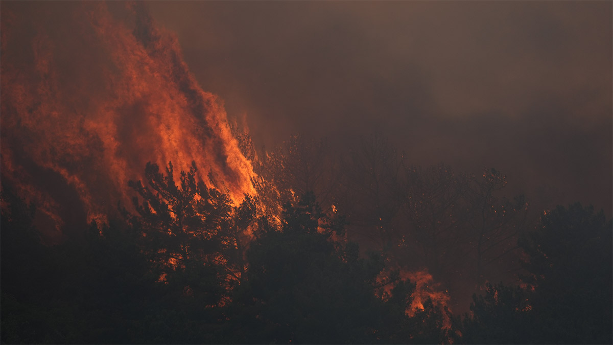Alev Alev Türkiye: İzmir ve Edirne’de ormanlar yanıyor
