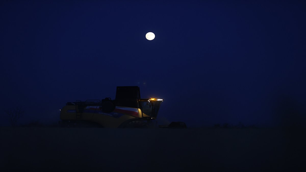 Aşırı sıcaklar yüzünden hasat gece yapılıyor! Buğday hasadında gece mesaisi