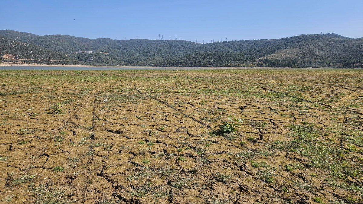 BM raporu: Türkiye’nin yüzde 88’i çölleşme riski altında