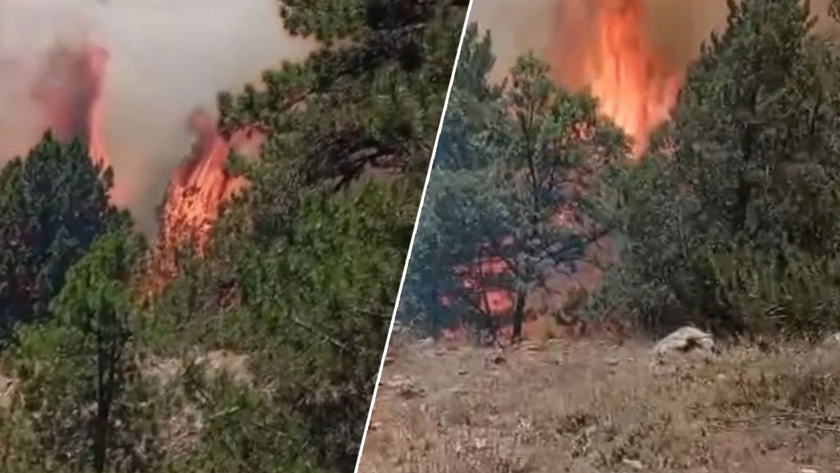 Konya’da orman yangını: Müdahale havadan ve karadan sürüyor