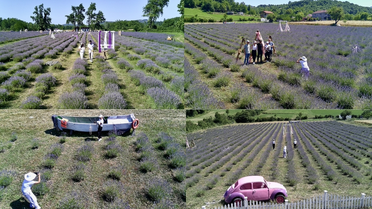 Toprak değil adeta altın! Sinoplu kadınların ektiği bitki para basıyor: Hem satın alıyorlar hem fotoğraf çekiyorlar