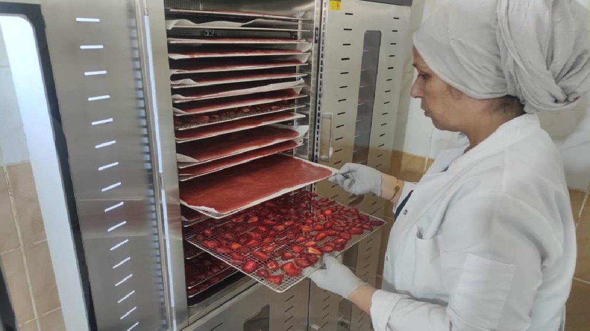 Kadın elinden çıkıyor, Sasonlular daha çok kazanıyor! 24 saat bekliyor 350 TL’den satılıyor