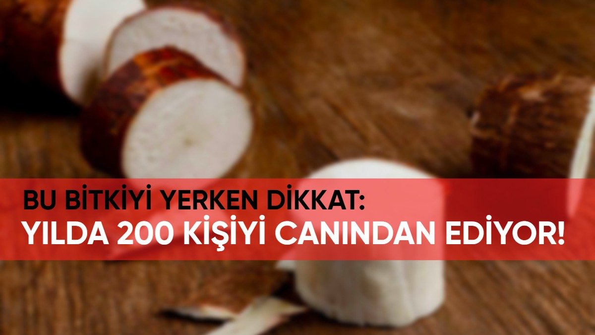 Bu bitkiyi görürseniz uzak durun! Yılda 200 kişiyi öldürüyor: Dikkatsiz tüketim sağlığınızdan edebilir